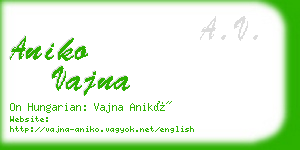 aniko vajna business card